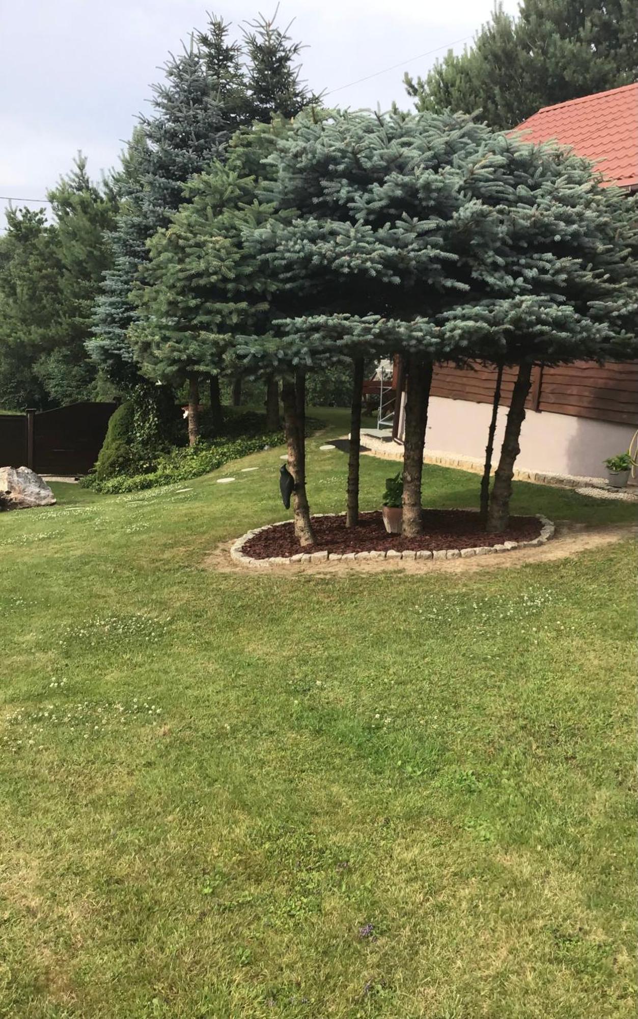 Agroturystyka Krajno - Zagorze Bagian luar foto